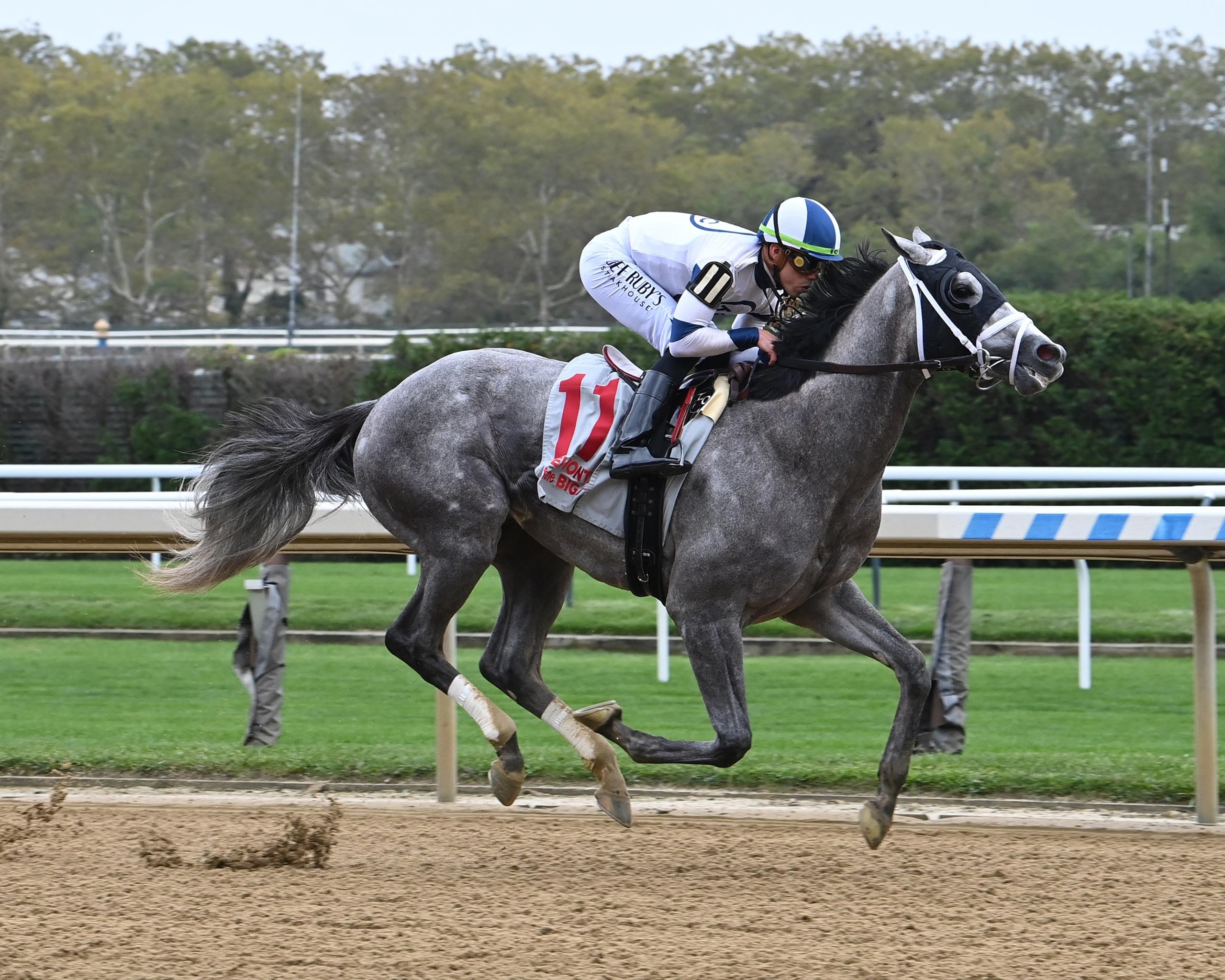 2024 Risen Star Stakes Cheat Sheet Get to Know the Horses America's 2024 Risen Star Stakes Cheat Sheet Get to Know the Horses America's