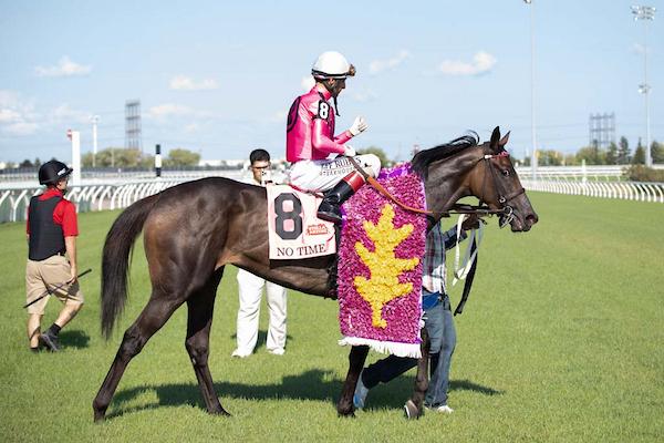 No Time, Woodbine Oaks, King's Plate, America's Best Racing, horse racing, ABR