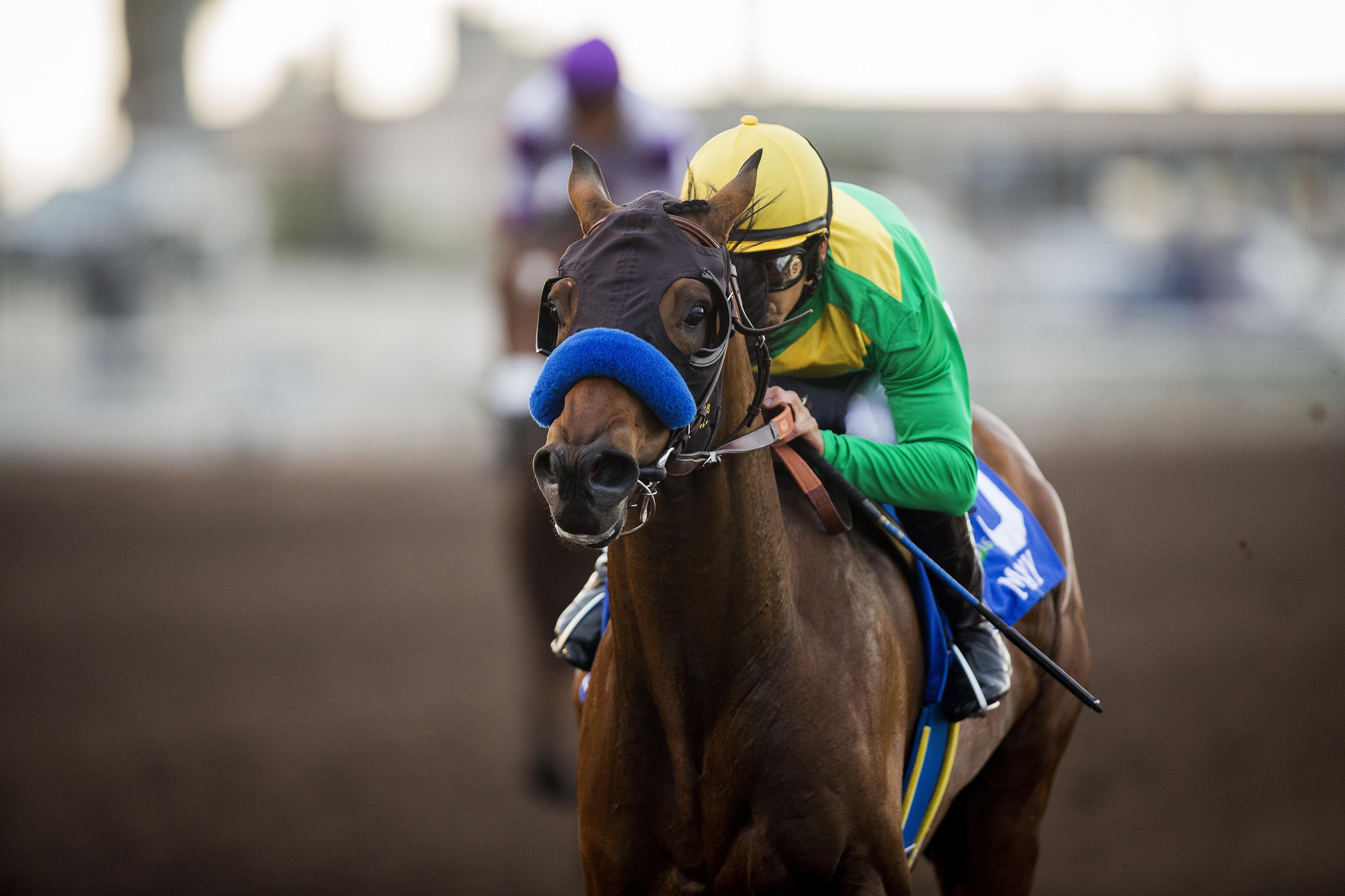 America’s Best Thoroughbreds Presented by America’s Best Khakis ...