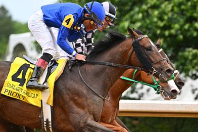 Proxy Oaklawn Handicap Stephen Foster Eclipse Sportswire