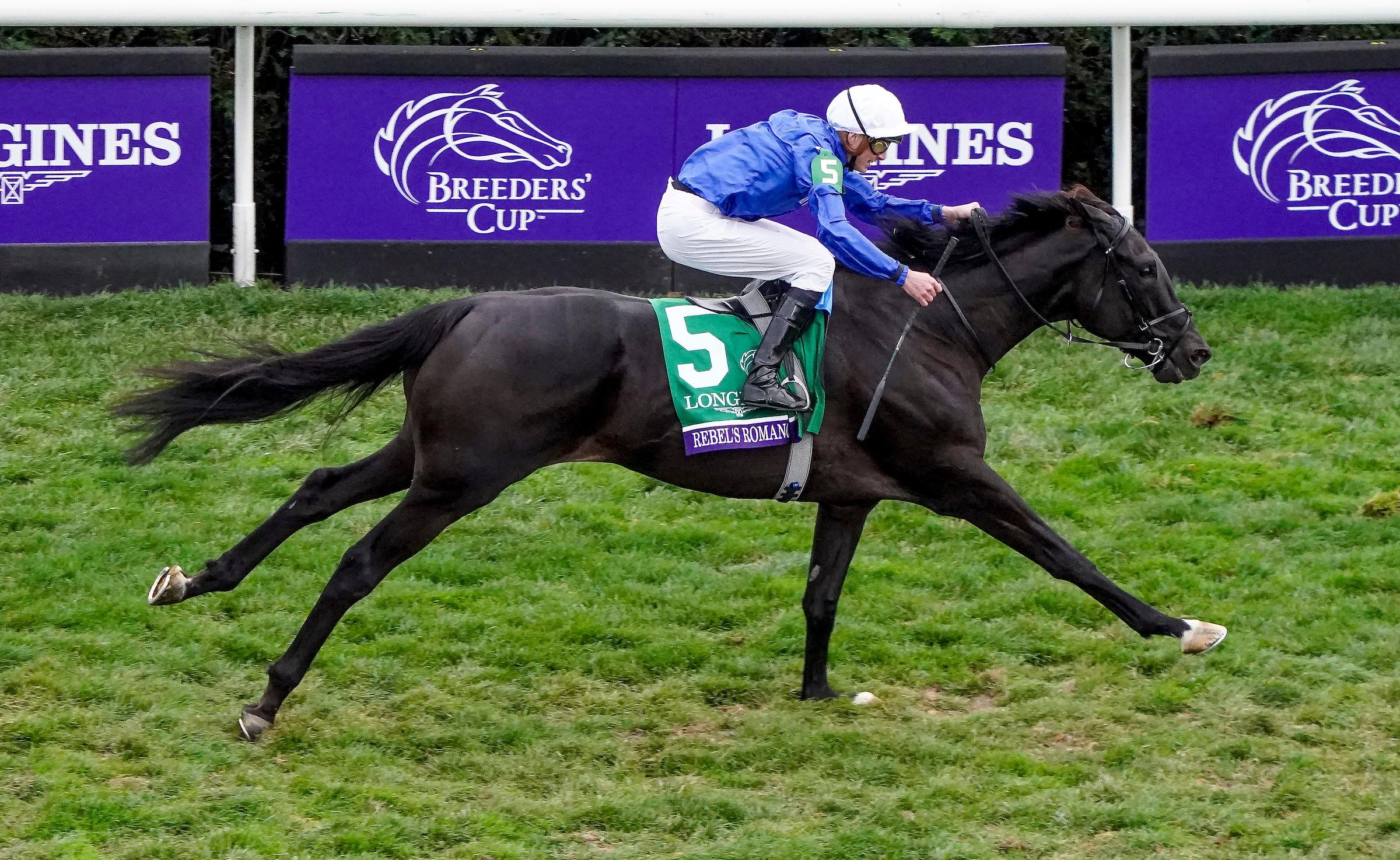 Charles Appleby, Breeders’ Cup Turf, Rebel’s Romance, Del Mar, America's Best Racing, horse racing, ABR Charles Appleby, Breeders’ Cup Turf, Rebel’s Romance, Del Mar, America's Best Racing, horse racing, ABR