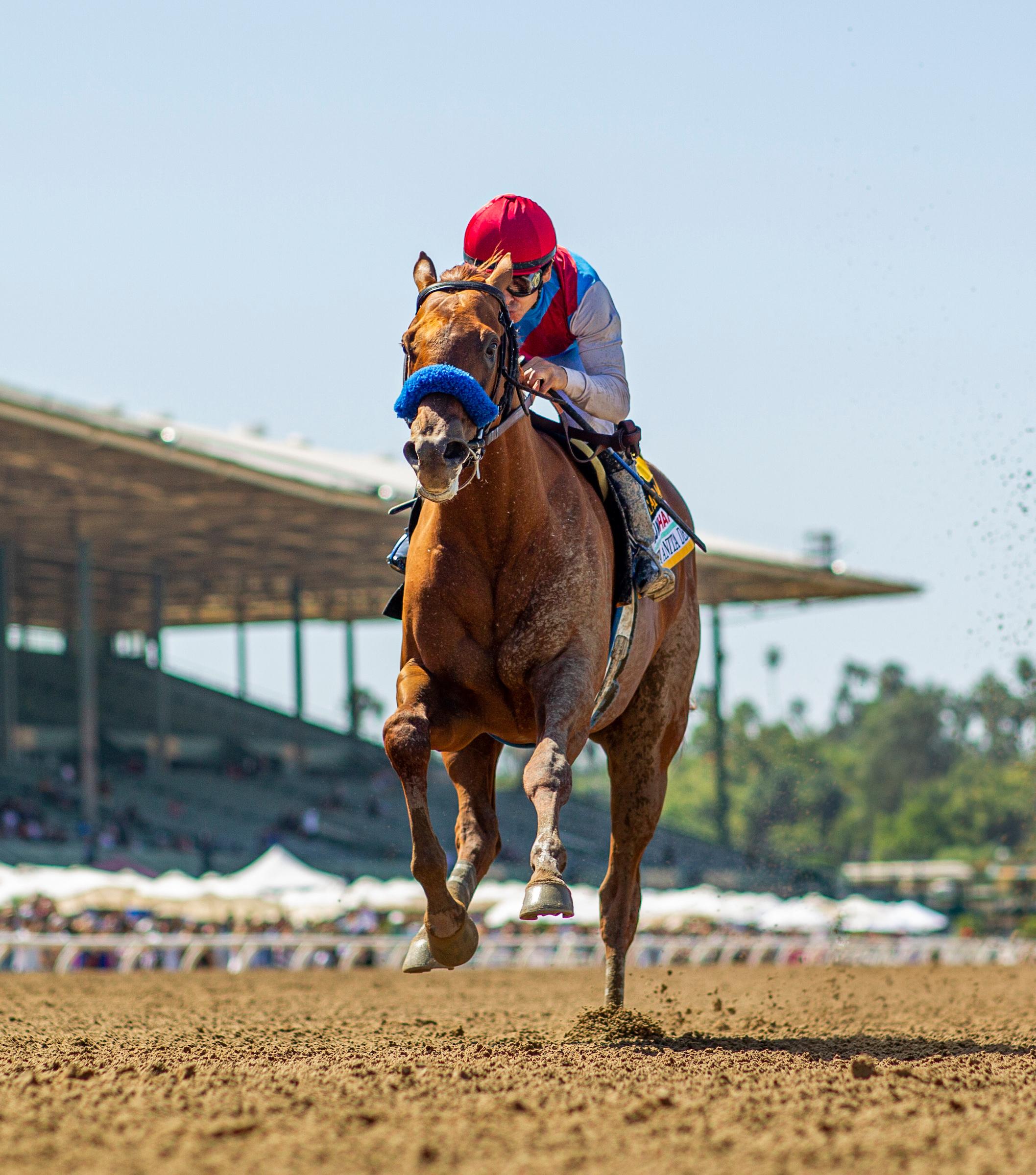 2022 Haskell Stakes Cheat Sheet Get to Know the Horses America's