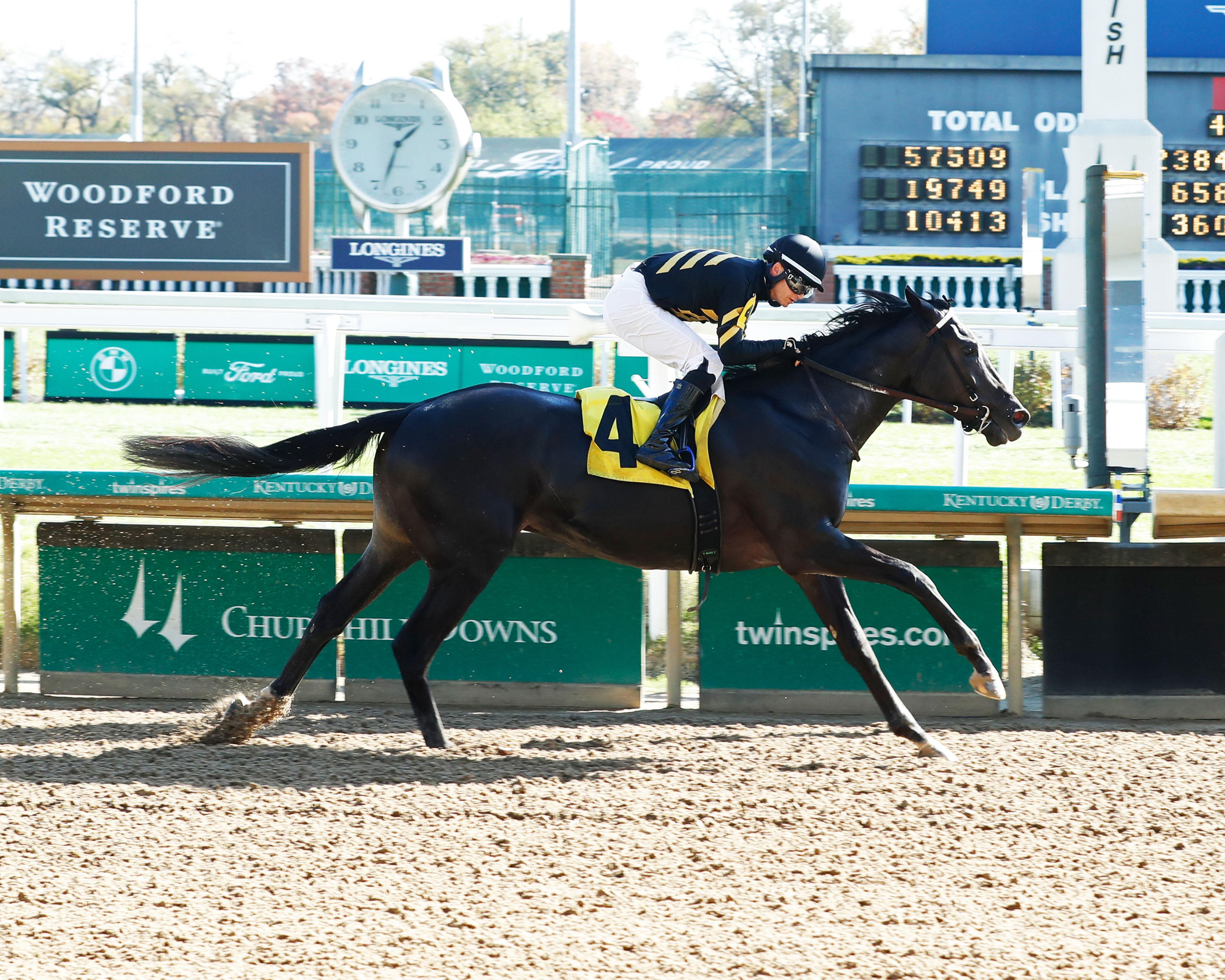 2024 Risen Star Stakes Cheat Sheet Get to Know the Horses America's 2024 Risen Star Stakes Cheat Sheet Get to Know the Horses America's
