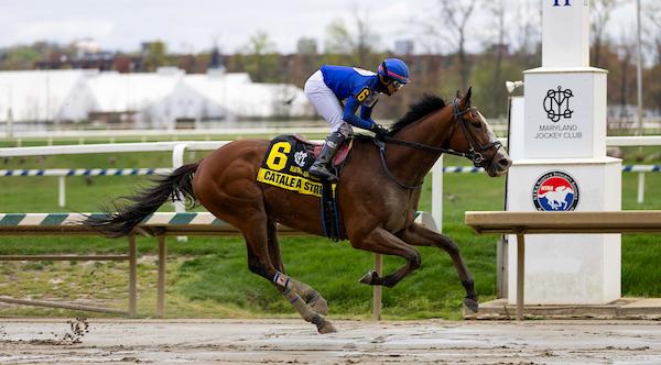 Triple Crown, Preakness, Laurel Park, horse racing, America's Best Racing, ABR