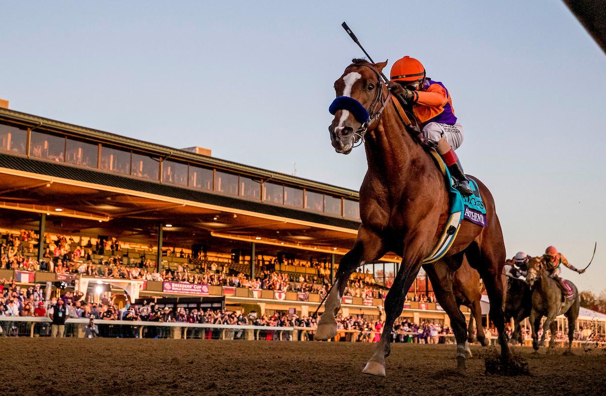 Authentic, Breeders' Cup Classic, Keeneland, Breeders' Cup, horse racing, America's Best Racing, ABR