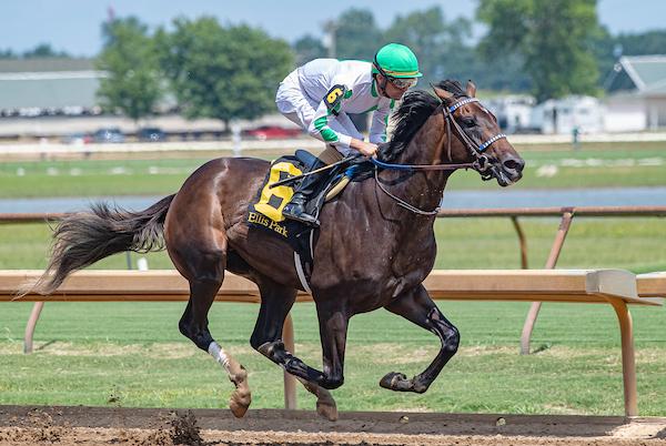 Blackout Time, Rebel Stakes, Oaklawn Park, ABR, America's Best Racing, Triple Crown, horse racing