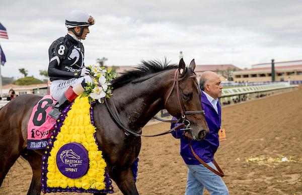 Straight No Chaser, Breeders' Cup Sprint, Del Mar, America's Best Racing, horse racing, ABR