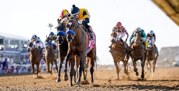 Debbie Self, Stooges Bar and Grill, Super Corredora, West Point Thoroughbreds, Breeders’ Cup Juvenile Fillies, Eclipse Awards, America's Best Racing, horse racing, ABR