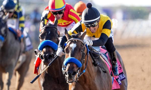 Super Corredora Shines in Juvenile Fillies, Aidan O'Brien Sets