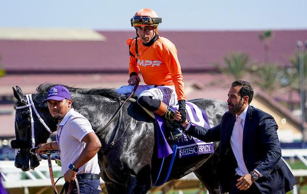 Shisospicy, Breeders' Cup Turf Sprint, Del Mar, America's Best Racing, horse racing, ABR