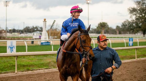Rachel Alexandra Stakes, Bella Ballerina, Fair Grounds, ABR, America's Best Racing, Triple Crown, horse racing