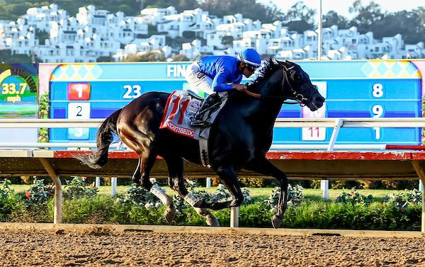 Forever Young Takes Over Top Spot in Breeders' Cup Classic Power ...
