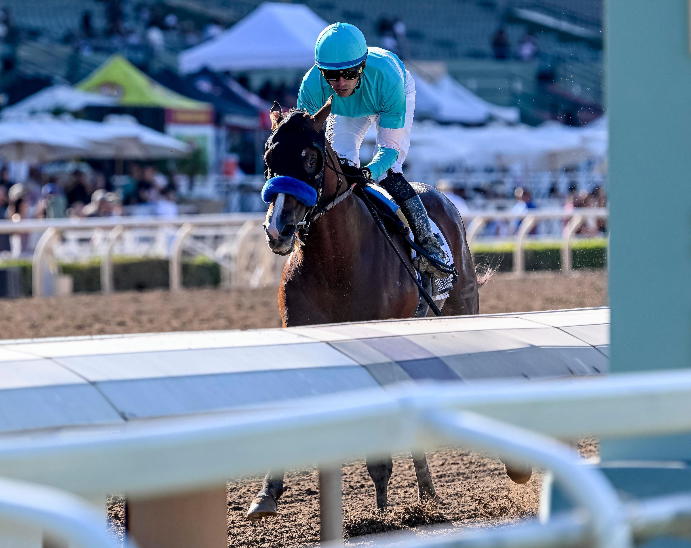 Hughes, American Pharoah Stakes, Rookie Rankings, Kentucky Derby, Triple Crown, horse racing, America's Best Racing, ABR