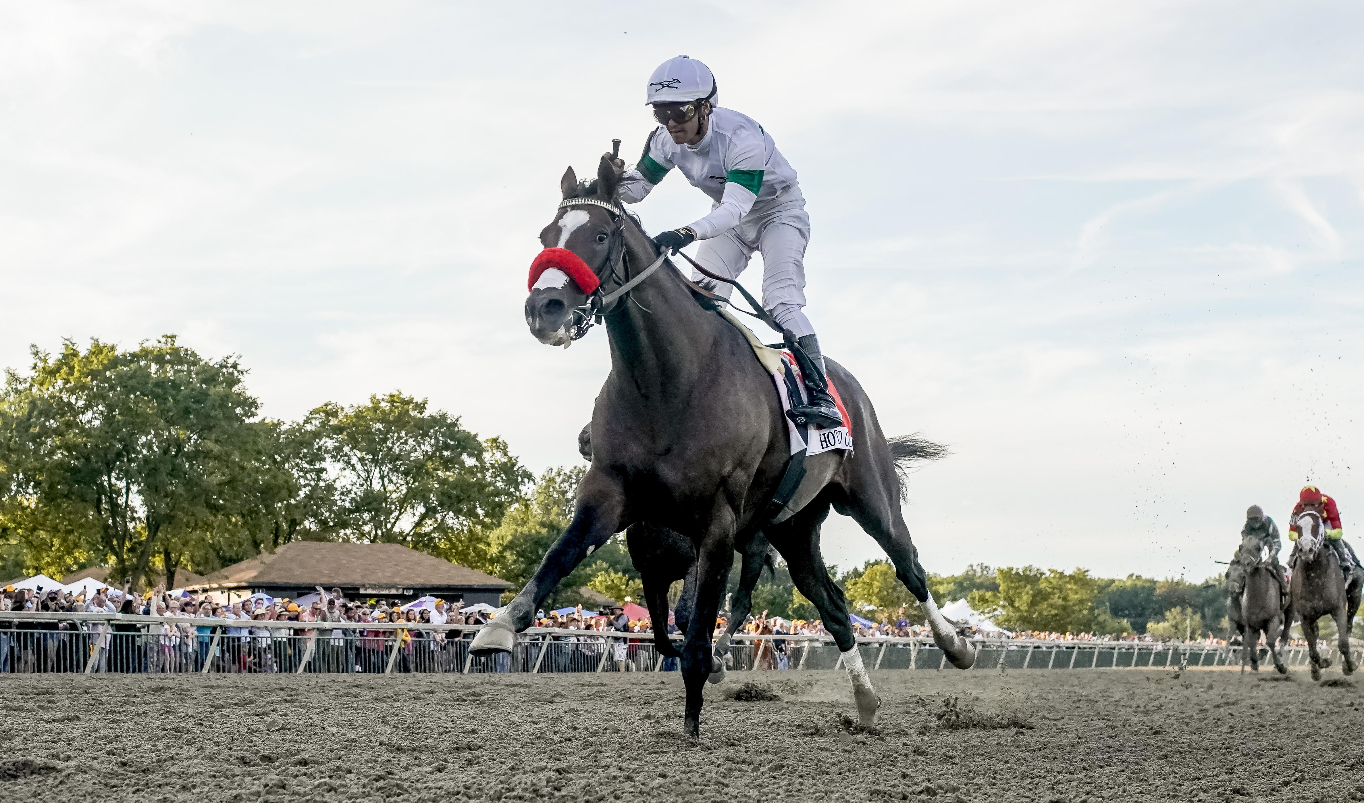 Patrick O’Neill Diary: Hot Rod Charlie Goes for Breeders’ Cup Classic ...