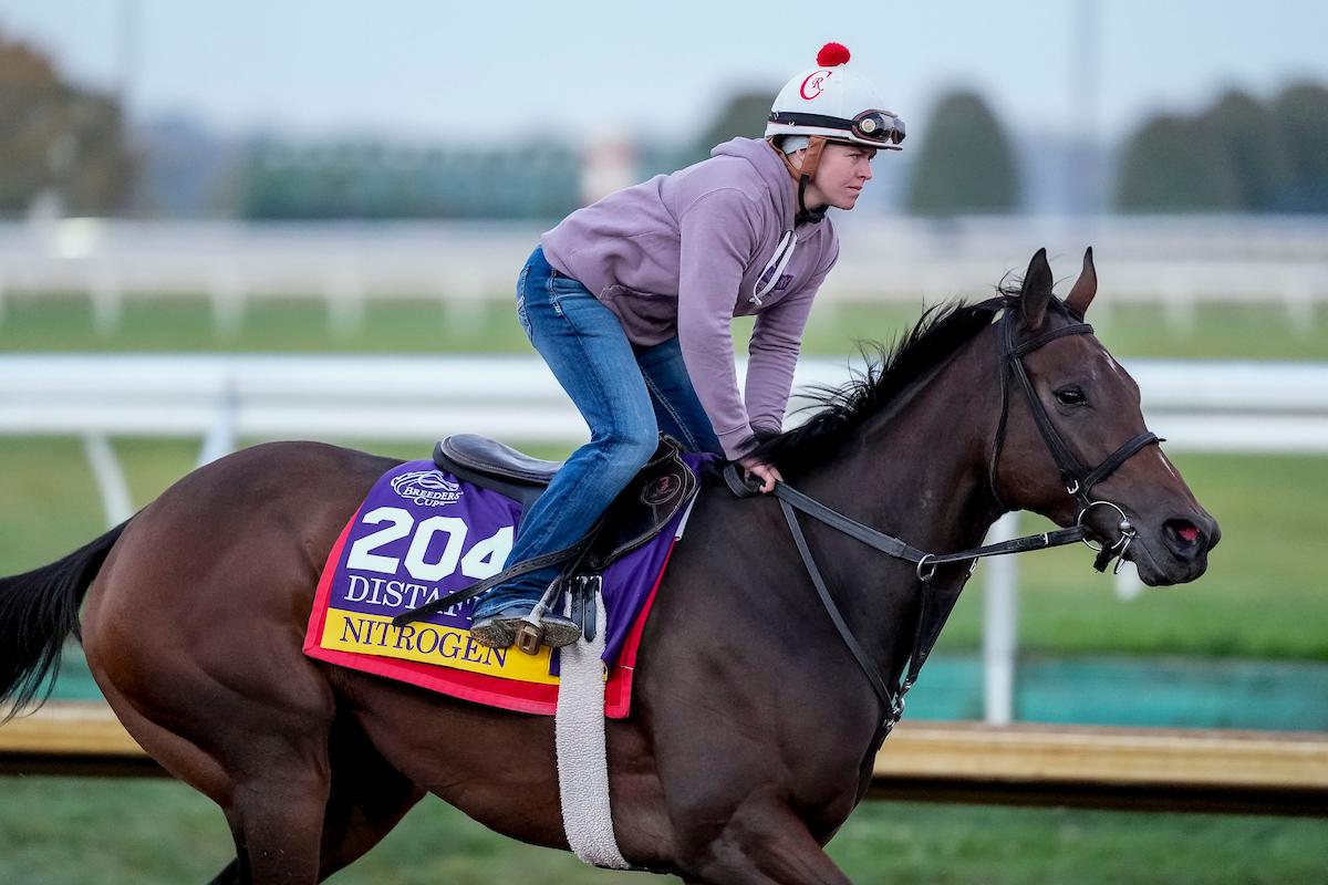 Nitrogen, Breeders' Cup Distaff, Keeneland, horse racing, America's Best Racing, ABR