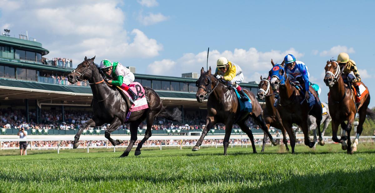 Keeneland, Breeders' Cup, Fall Stars, horse racing, America's Best Racing, ABR