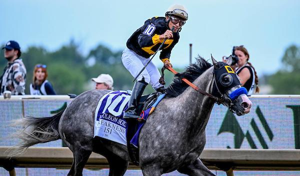 Napoleon Solo, Haskell Stakes, Monmouth Park, horse racing, America's Best Racing, ABR