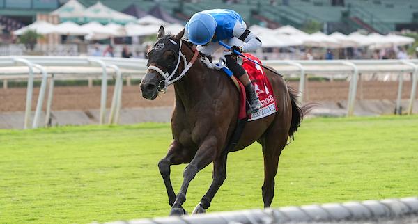 Reef Runner, Jaipur Stakes, Triple Crown, Belmont Stakes, Saratoga Race Course, horse racing, America's Best Racing, ABR