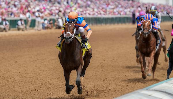 Fierceness, Alysheba Stakes, Churchill Downs, Horse of the Year, America's Best Racing, horse racing, ABR