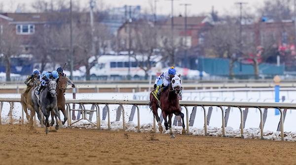 Talk to Me Jimmy, Withers Stakes, Aqueduct, America's Best Racing, horse racing, ABR