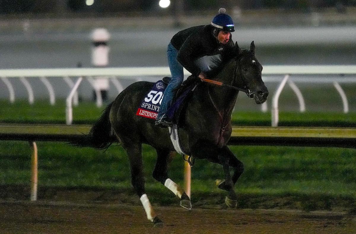 Listenupshance, Breeders' Cup Sprint, Keeneland, Breeders' Cup, horse racing, America's Best Racing, ABR Listenupshance, Breeders' Cup Sprint, Keeneland, Breeders' Cup, horse racing, America's Best Racing, ABR