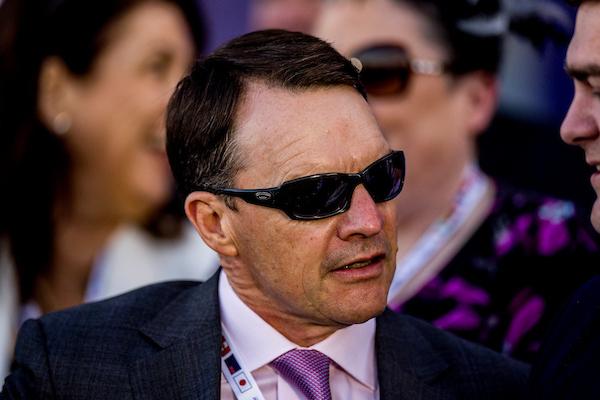 Aidan O'Brien, Breeders' Cup, Del Mar, America's Best Racing, horse racing, ABR