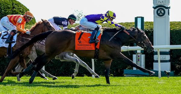 Belmont Derby, Saratoga Race Course, America's Best Racing, ABR, horse racing, Triple Crown 