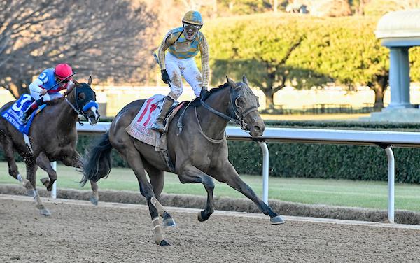 Silent Tactic, Rebel Stakes, Oaklawn Park, ABR, America's Best Racing, Triple Crown, horse racing