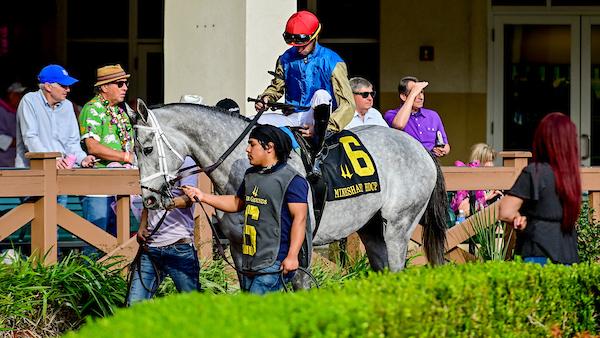 Hit Show, Suburban Stakes, Saratoga Race Course, horse racing, America's Best Racing, ABR