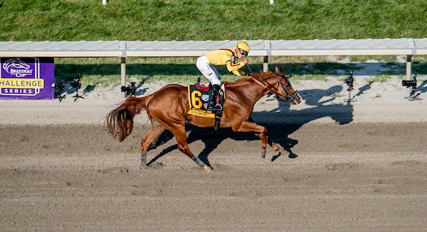 Good Magic, Haskell Stakes, Monmouth Park, America's Best Racing, ABR, horse racing, Triple Crown