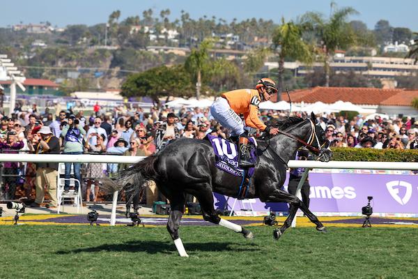 Shisospicy, Breeders’ Cup Turf Sprint, Eclipse Awards, Del Mar, America's Best Racing, horse racing, ABR Shisospicy, Breeders’ Cup Turf Sprint, Eclipse Awards, Del Mar, America's Best Racing, horse racing, ABR