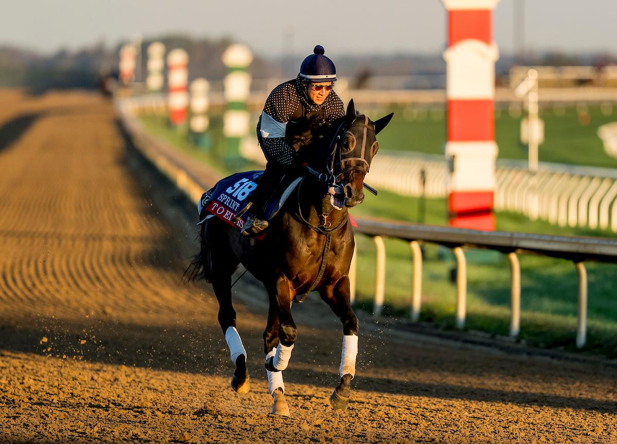 T O Elvis, Breeders' Cup Sprint, Keeneland, horse racing, America's Best Racing, ABR