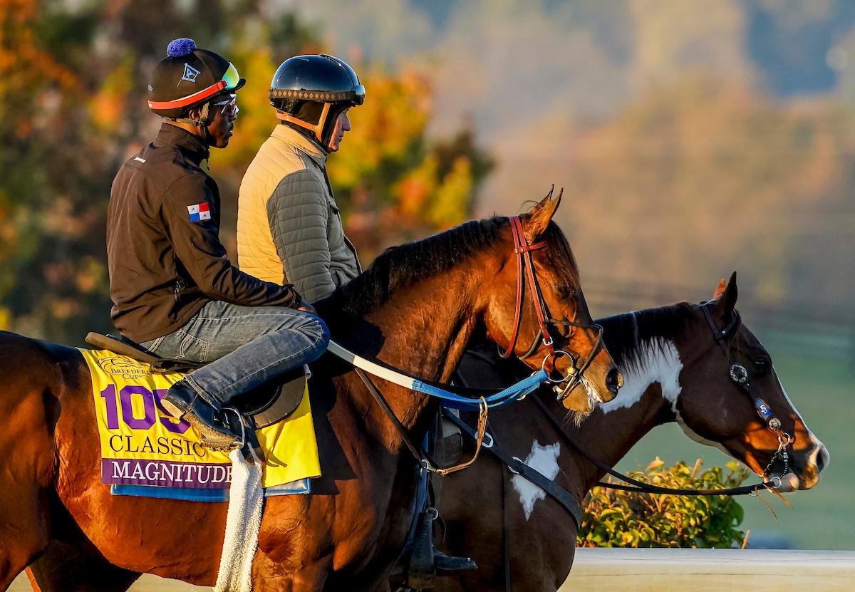 Magnitude, Breeders' Cup Classic, Keeneland, horse racing, America's Best Racing, ABR