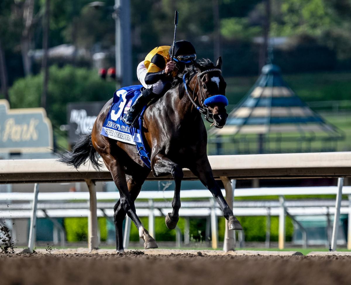 Super Corredora, Breeders' Cup Distaff, Keeneland, horse racing, America's Best Racing, ABR