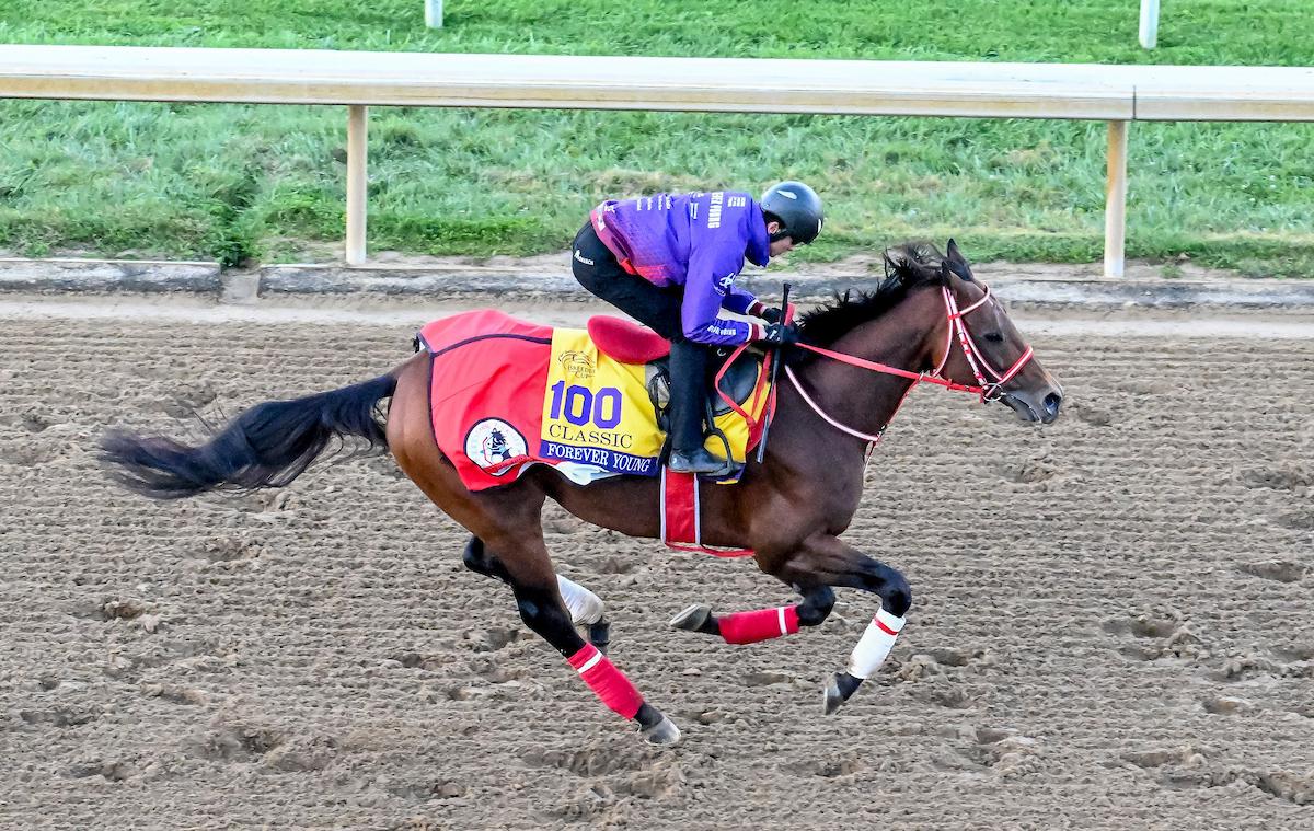 Forever Young, Breeders' Cup Classic, Keeneland, horse racing, America's Best Racing, ABR