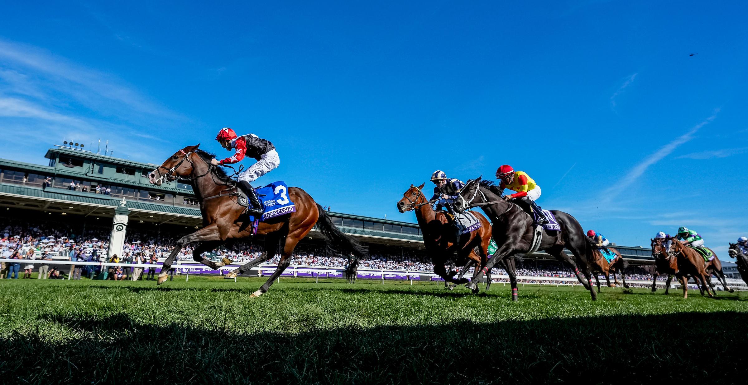 Libertango, Breeders' Cup Juvenile Turf Sprint, Keeneland, horse racing, America's Best Racing, ABR Libertango, Breeders' Cup Juvenile Turf Sprint, Keeneland, horse racing, America's Best Racing, ABR