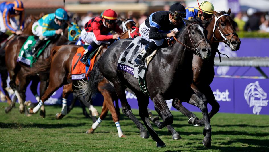 Two-Time Queen of the Hill: Mizdirection Makes Hay of Breeders’ Cup at Santa Anita
