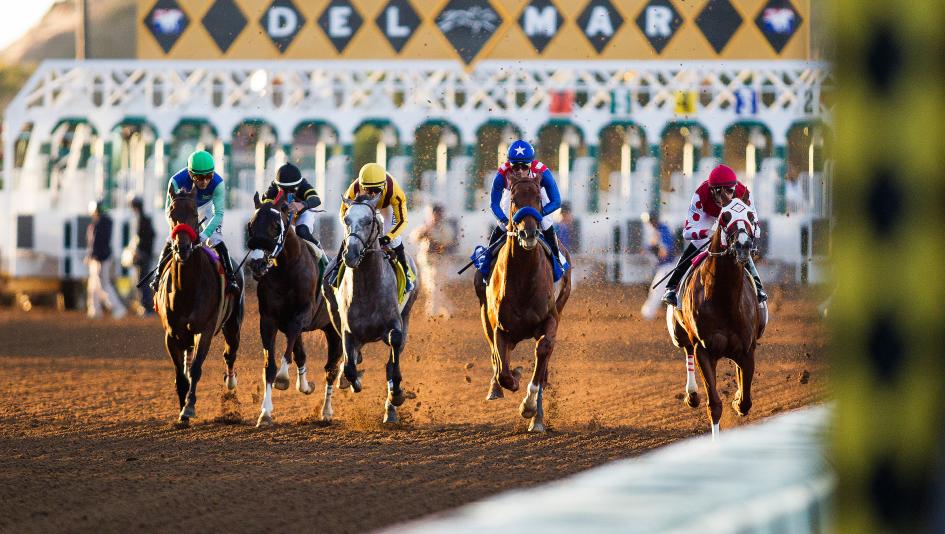 2025 Native Diver Stakes at a Glance