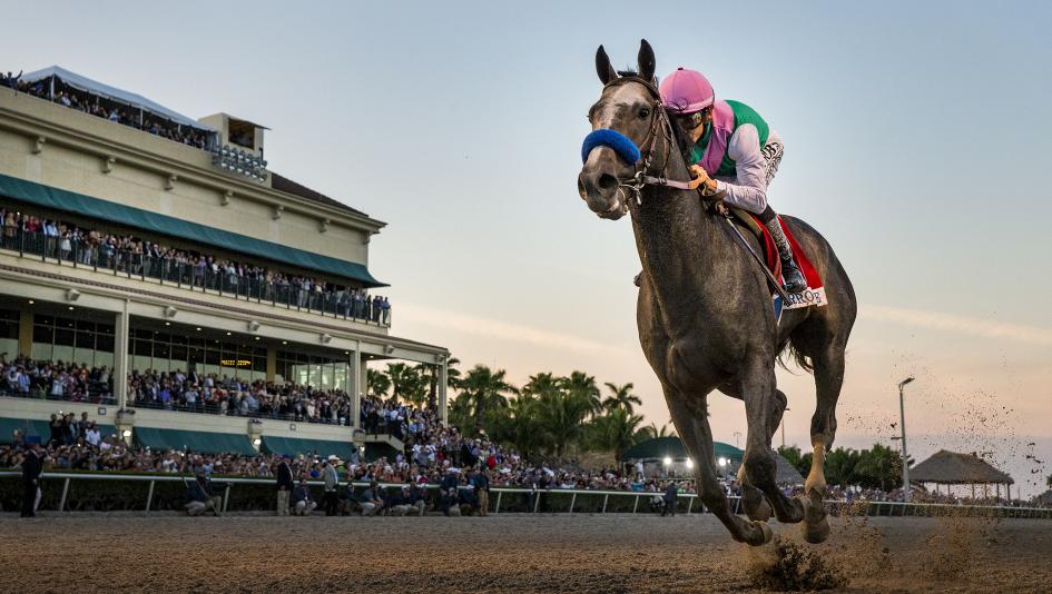 longines horse racing