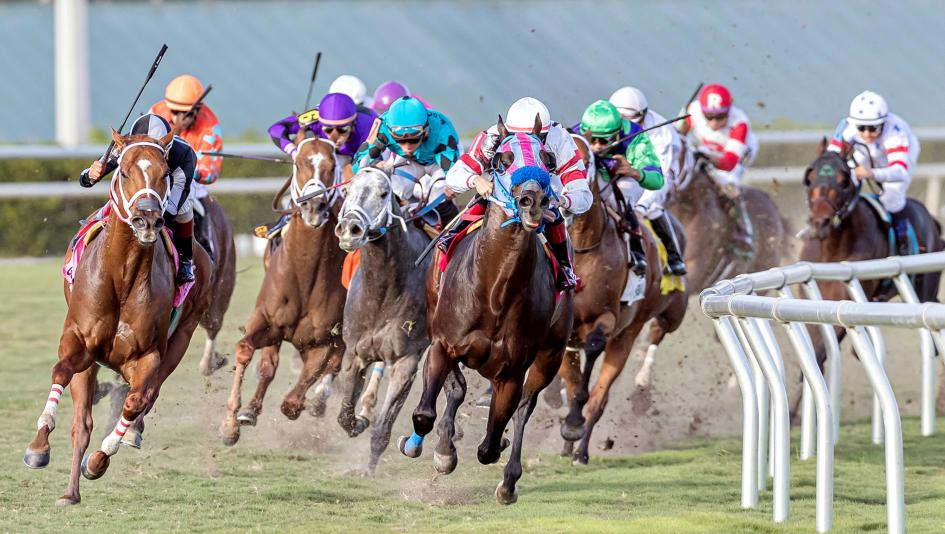 tv horse races today