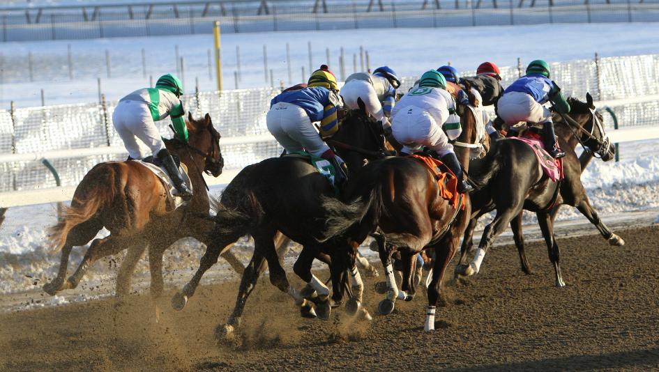 Balboa Can Land Knockout Punch in 2026 Jerome Stakes