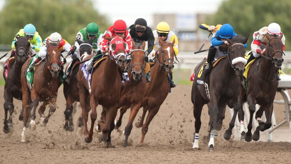 Woodbine Oaks, Kin's Concerto, War Painter, Michael Burns, Woodbine Woodbine Oaks, Kin's Concerto, War Painter, Michael Burns, Woodbine