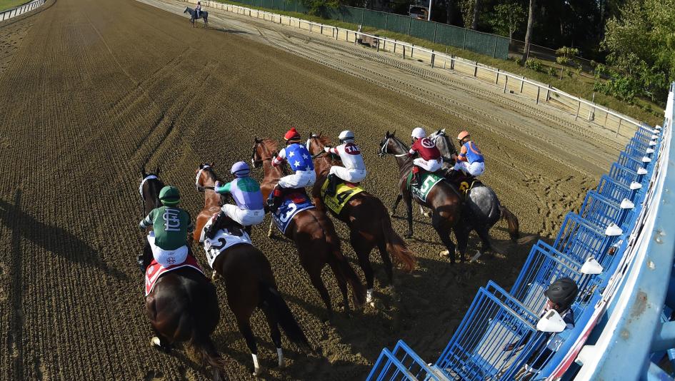 2026 Champagne Stakes at a Glance
