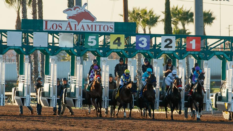 Superbly Bred Provenance Can Take Next Step in Los Alamitos Futurity