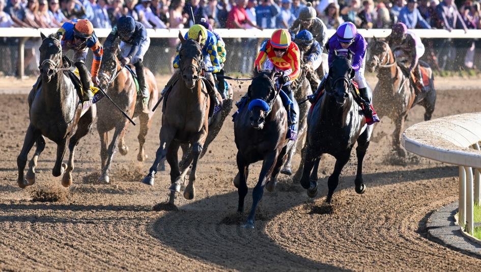 Breeders’ Cup, Juvenile, Kentucky Derby, glance, Damavand, Gaudreau, Salahudin, Earth Song, Hughes, American History, Coach Pope, He Is No Lie, jockey, trainer, longshot, Baffert, Pletcher, horse racing, ABR