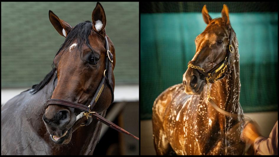 Meet the 2022 Preakness Stakes Contenders | America's Best Racing