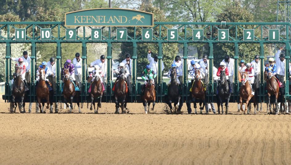 Lexington Stakes Keeneland Kentucky Derby horse racing Baseline Beater Reinvest Demolition Duke Transect First Mission Disarm Denington Ken McPeek Brad Cox Empirestrikesfast Prairie Hawk Curly Larry and Mo Arabian Lion Bob Baffert Steve Asmussen Flavien P