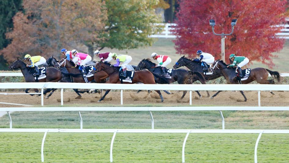 Raven Run Stakes, Glance, Keeneland, fillies, Army’s Marauder, Mythical, Hen Party, Coco Connect, Yo Fancy, Percy’s Bar, A Fine Chardonnay, Conceit, Mashallah, With a Kiss, Movie Night, Star Actress, trainer, jockey, horse racing, ABR