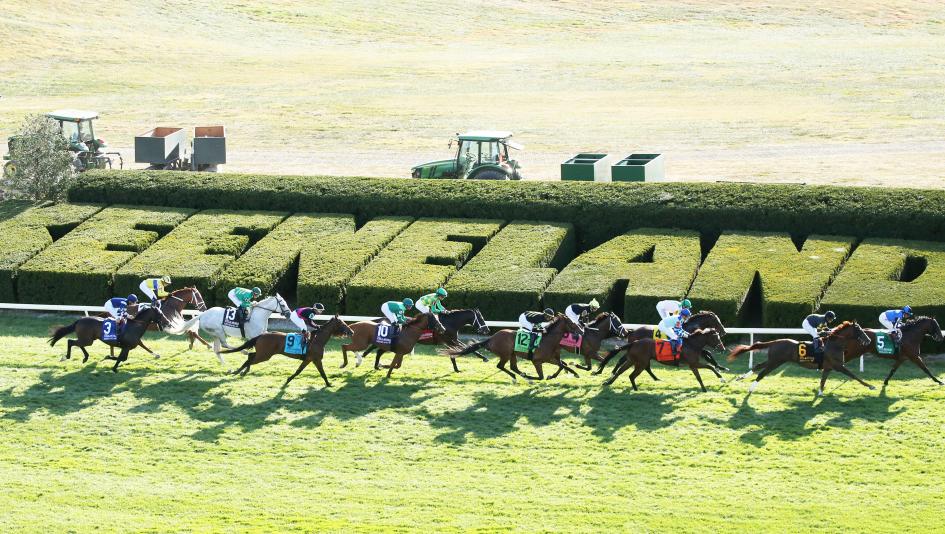 2026 Sycamore Stakes at a Glance