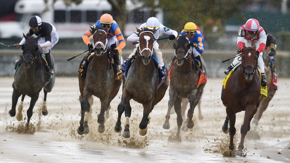 Champagne Stakes, Aqueduct, Timberlake, Coglianese Photos, Dom Napolitano Champagne Stakes, Aqueduct, Timberlake, Coglianese Photos, Dom Napolitano